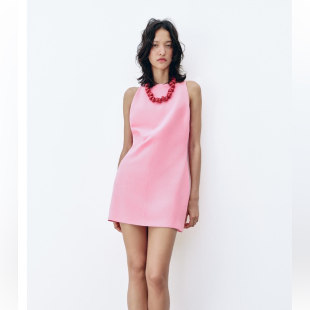 Zara Pink Mini Dress